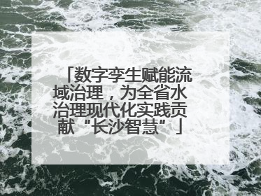数字孪生赋能流域治理，为全省水治理现代化实践贡献“长沙智慧”